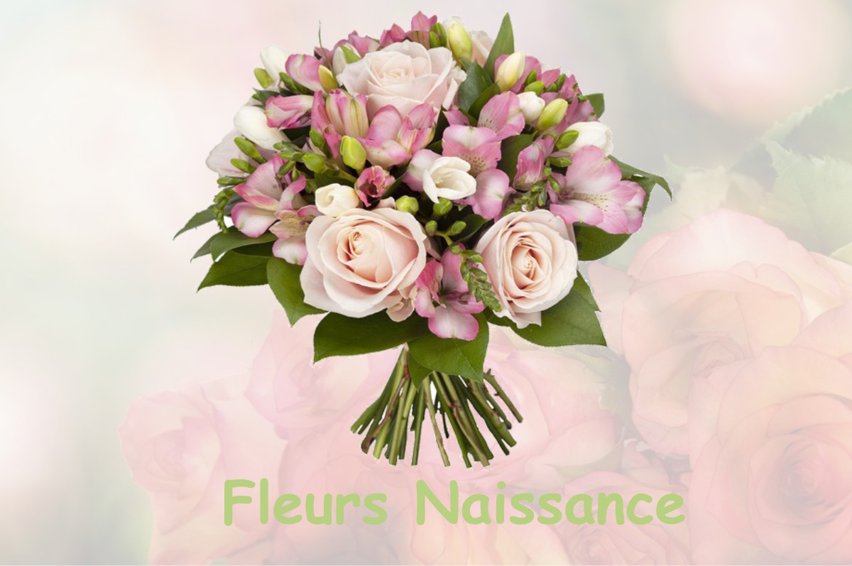 fleurs naissance NANC-LES-SAINT-AMOUR